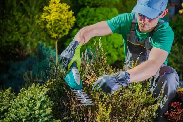 landscaping services Byhalia